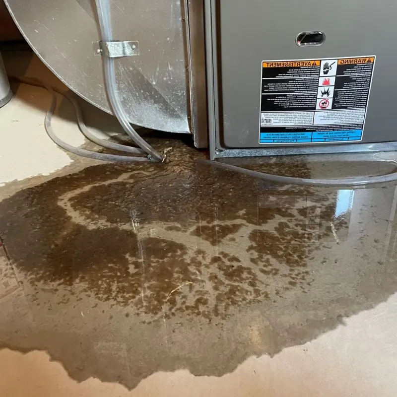 Pipe Burst and Leak Restoration in North Middletown, NJ